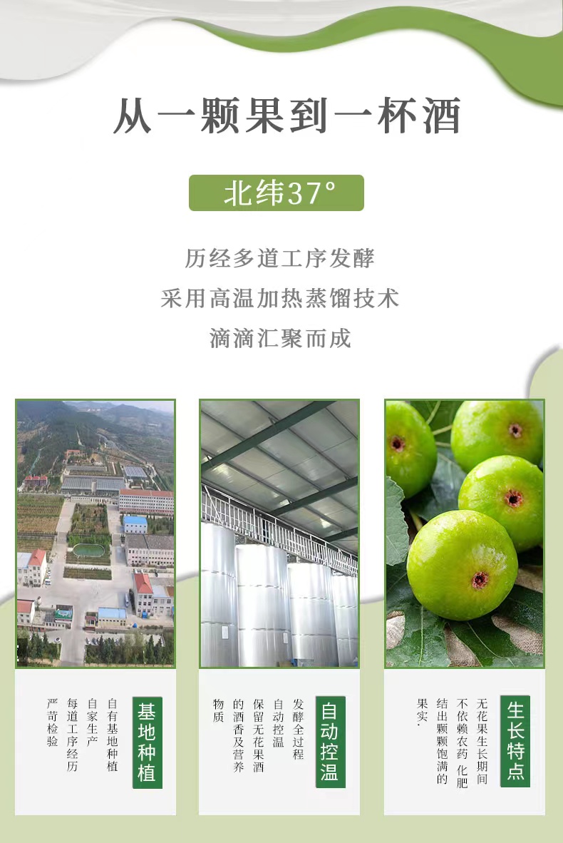 无花果蒸馏酒3.jpg